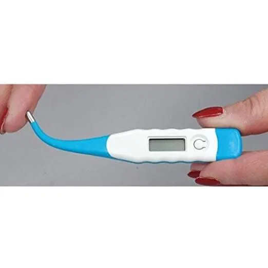 Flexible Digital Thermometer