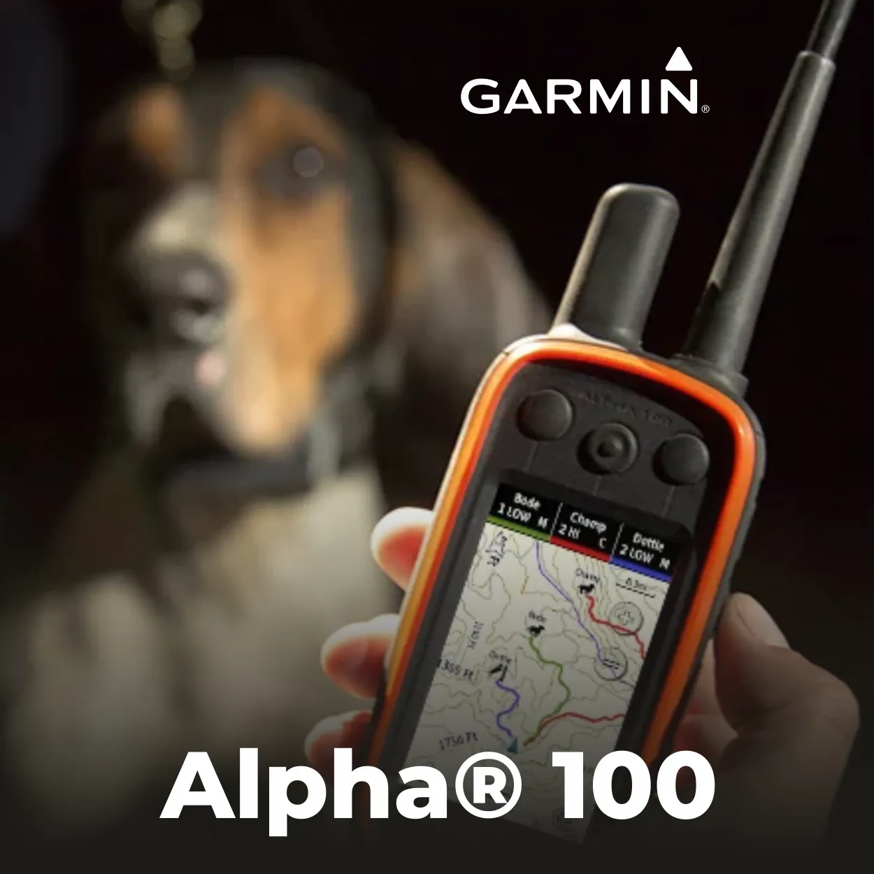 Garmin Alpha 100 Dog Tracking and Training Device with TT 15X Dog Collar