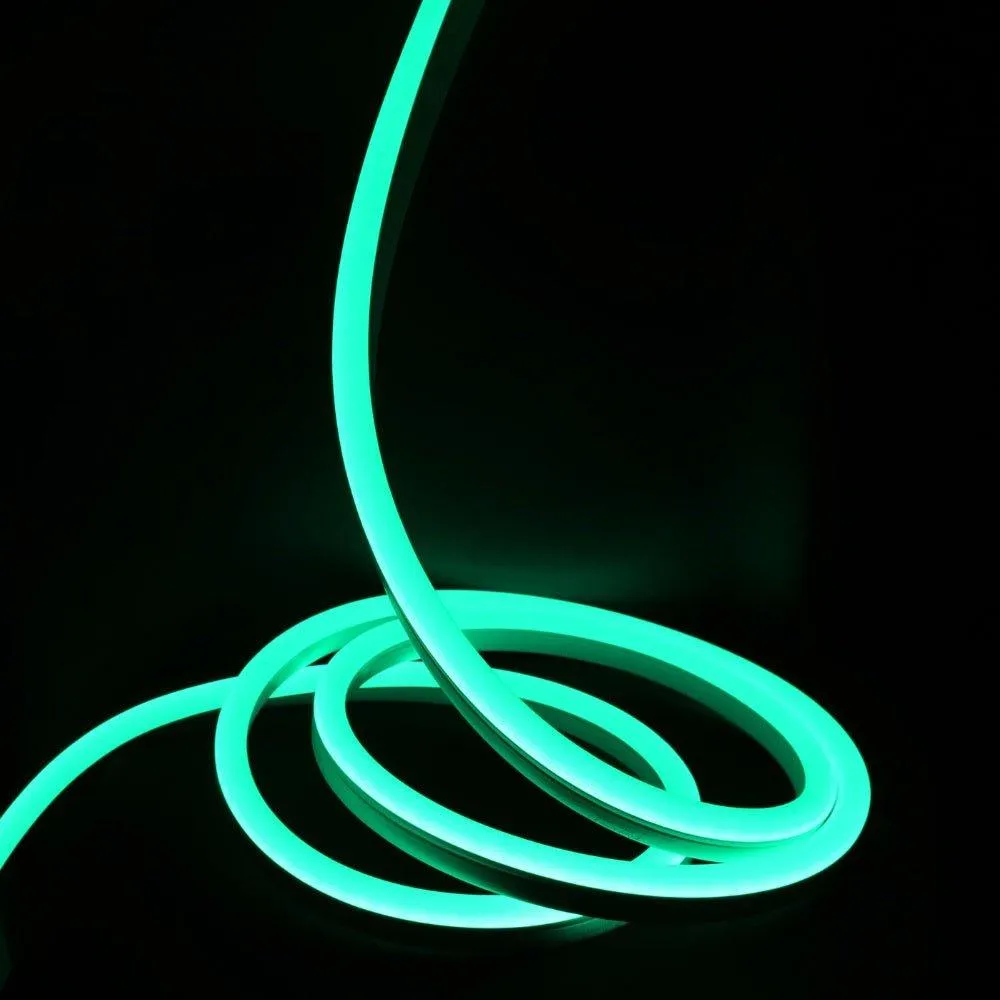 Ultra Long RGB Neon Flex 15x25mm 48V IP68 Waterproof 30 Metre