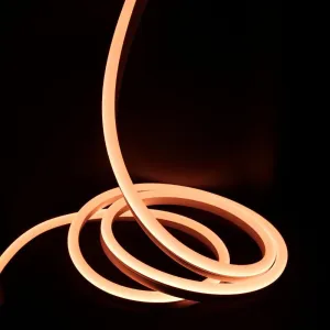 Ultra Long RGB Neon Flex 15x25mm 48V IP68 Waterproof 30 Metre