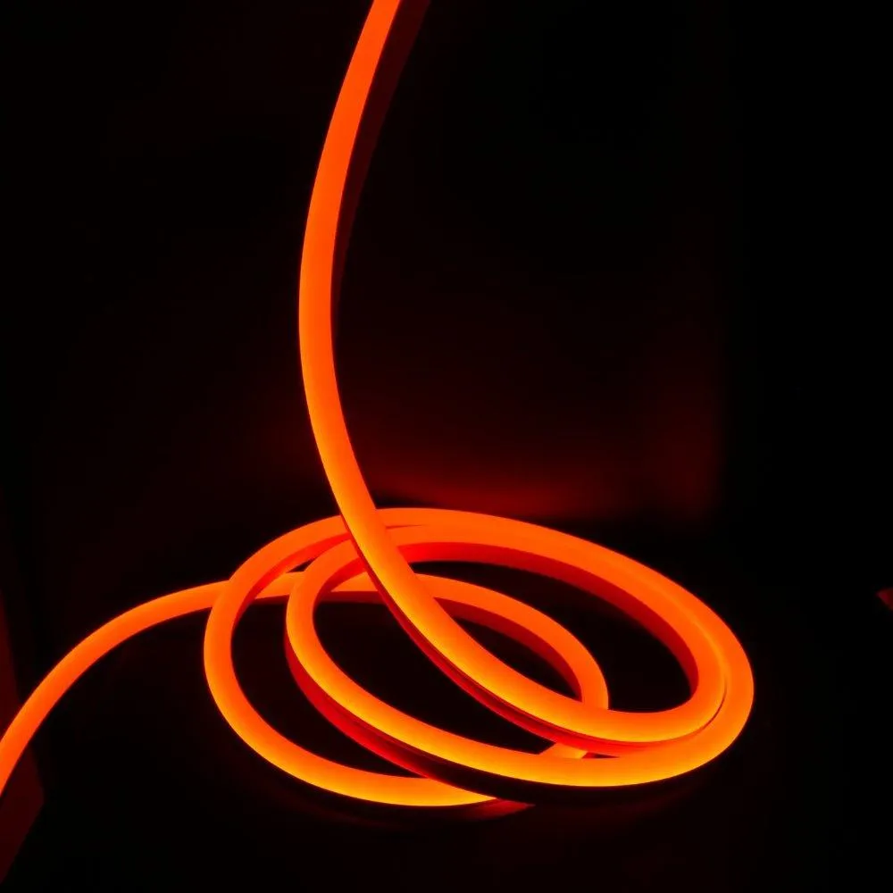 Ultra Long RGB Neon Flex 15x25mm 48V IP68 Waterproof 30 Metre